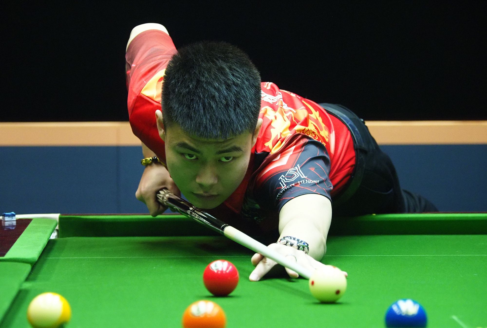 仅展示了青 仅展示了青