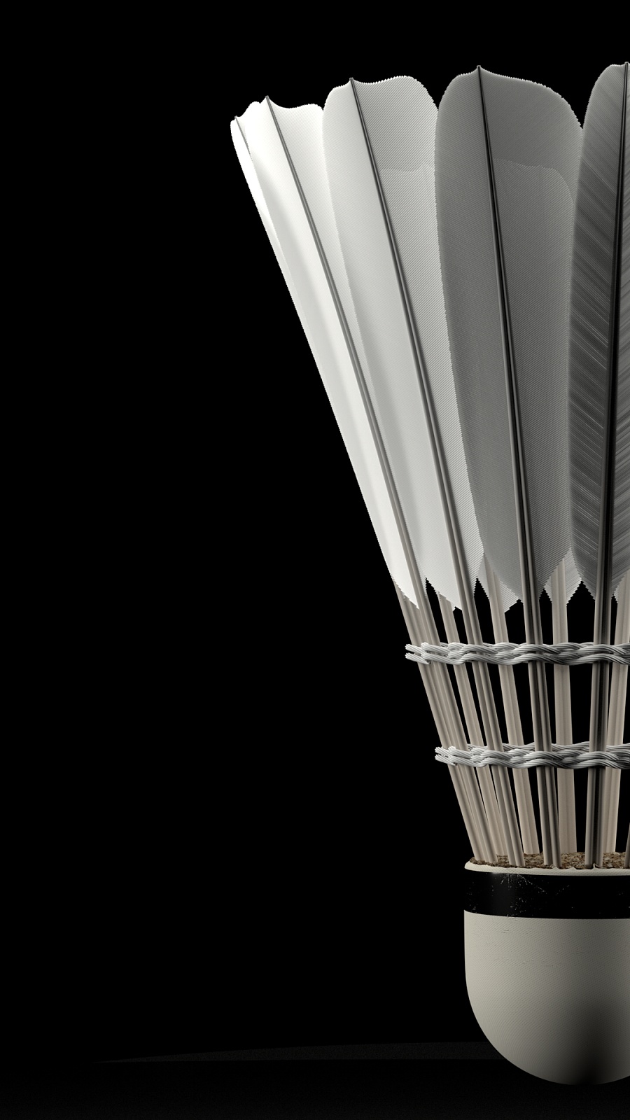 的球迷失望 的球迷失望