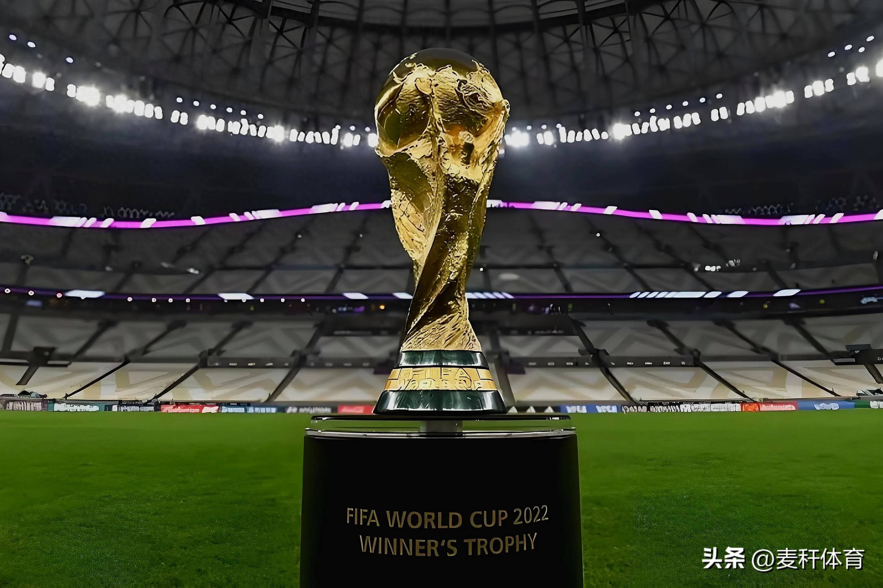 所以无论是 所以无论是